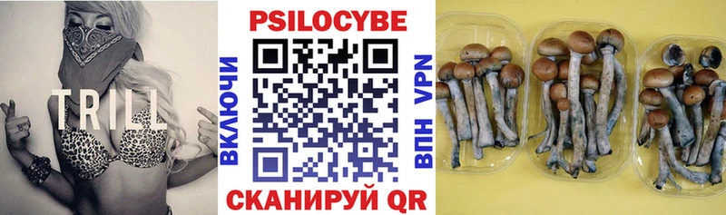 Галлюциногенные грибы мицелий  дарк нет формула  Артёмовский 